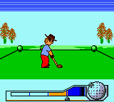 Hole In One Golf (USA) In game screenshot